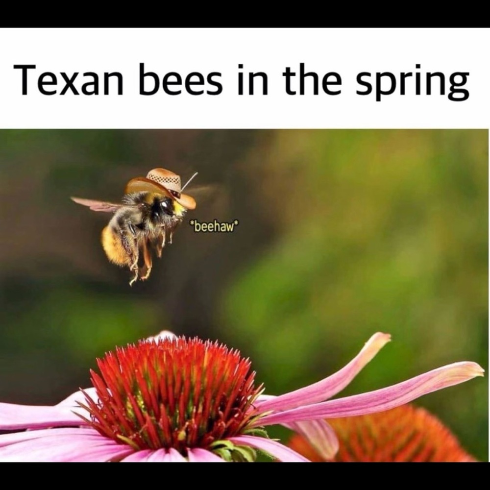 Meet your Posher, Bea